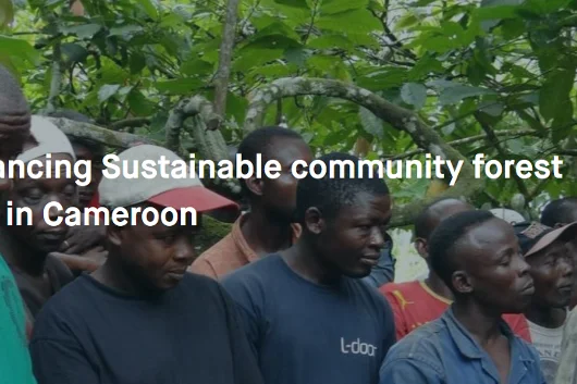 DRYAD: Financing Sustainable community forest enterprises in Cameroon