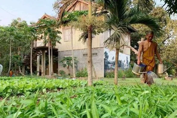 Sustainable Living in Cambodia: Buddhist Monks Farm Organic Produce