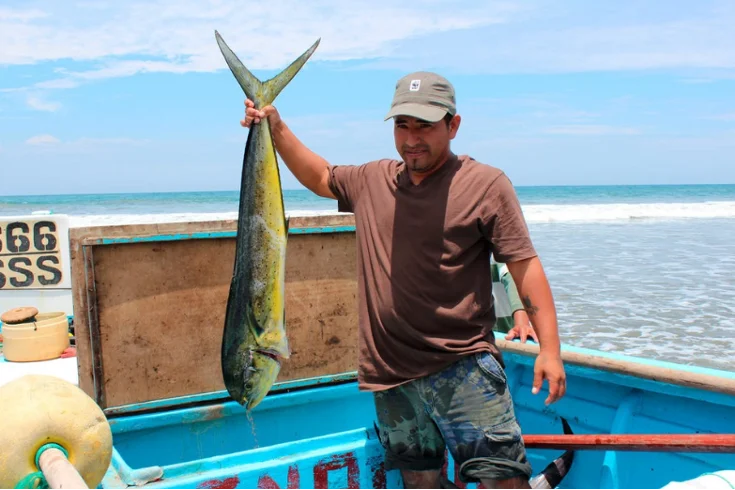 Mahi Mahi Exporters Promote a Sustainable Future for Ecuador’s Fisheries