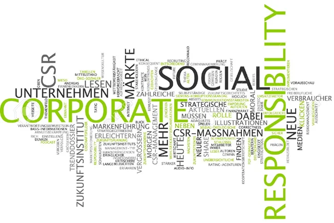 Conference: Corporate Social Responsibility and Local Development (Trento - Italy)