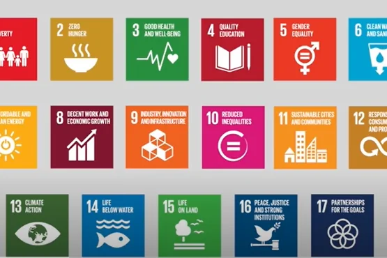 Jordan’s Pathway Towards Sustainability: Implementing the Sustainable Development Goals (SDGs)