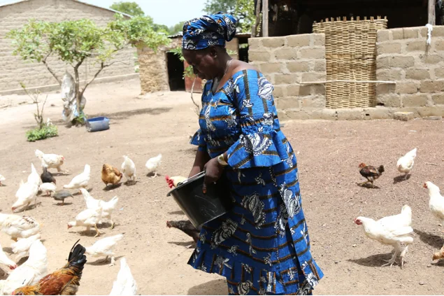 Mali and IFAD develop a new strategic program to achieve the Sustainable Development Goals