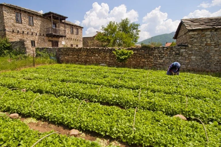 Sustainable Agriculture in Macedonia Boosted by Training Programs